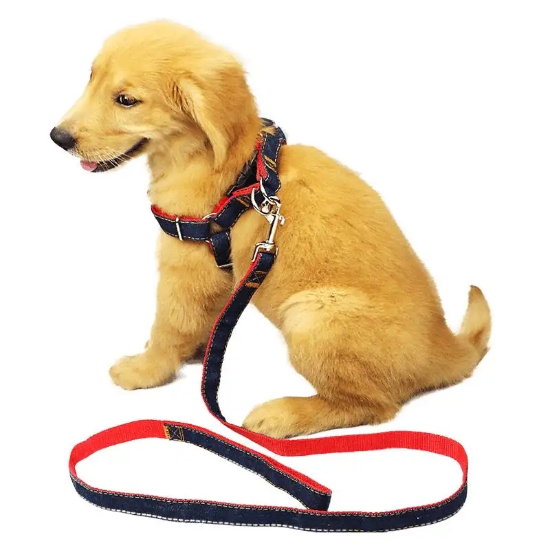 Hansı Genişlik və Qalınlıq Xüsusiyyətləri Pet Dartması üçün Polyester Toxuma üçün Müxtəlif Heyvan Ölçülərinə Ən Yaxşı Uyğundur?
